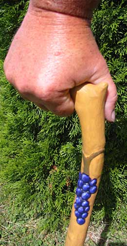Grape vine stick