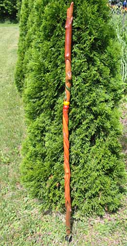 nature walking stick