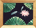 Pond with Pink Lilly